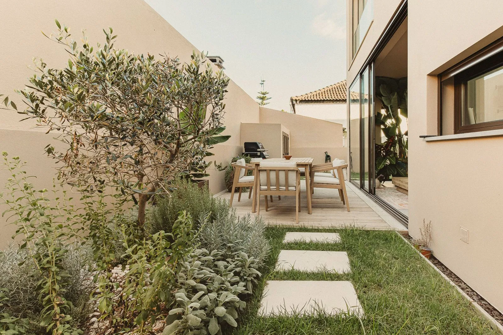 Tuscan-style garden with olive tree